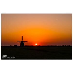 beea98fe-28c7-43bb-a66b-b7cd2b409248