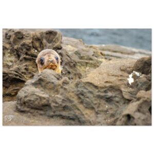 beeac8e6-e195-400f-82cf-d35e04461627