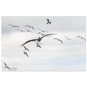 c33c1fad-46ae-4d00-8d3a-d9920a9eedbf