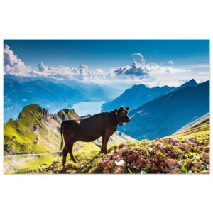 c43a129a-5aaa-4d4c-beab-f50d70ed9160