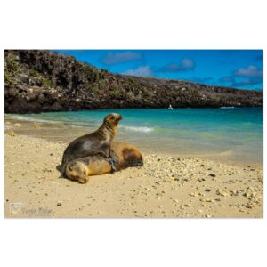 c4a71a70-6db0-4402-b1bf-8f0131934cee