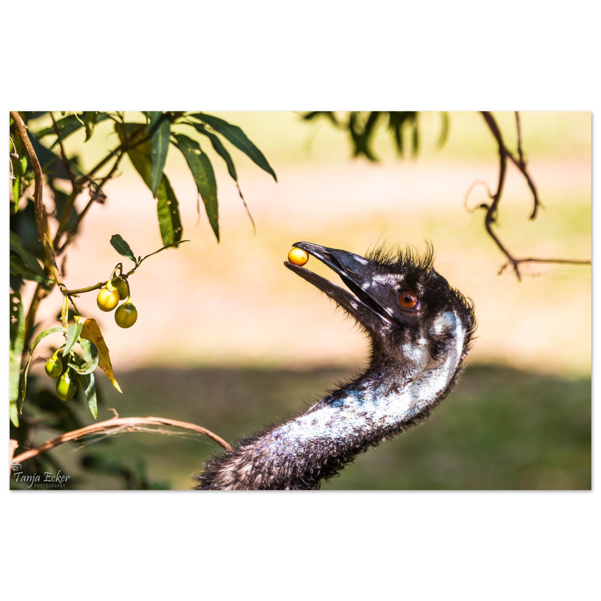 c835e548-0aa2-4383-9b3f-535fd9691058