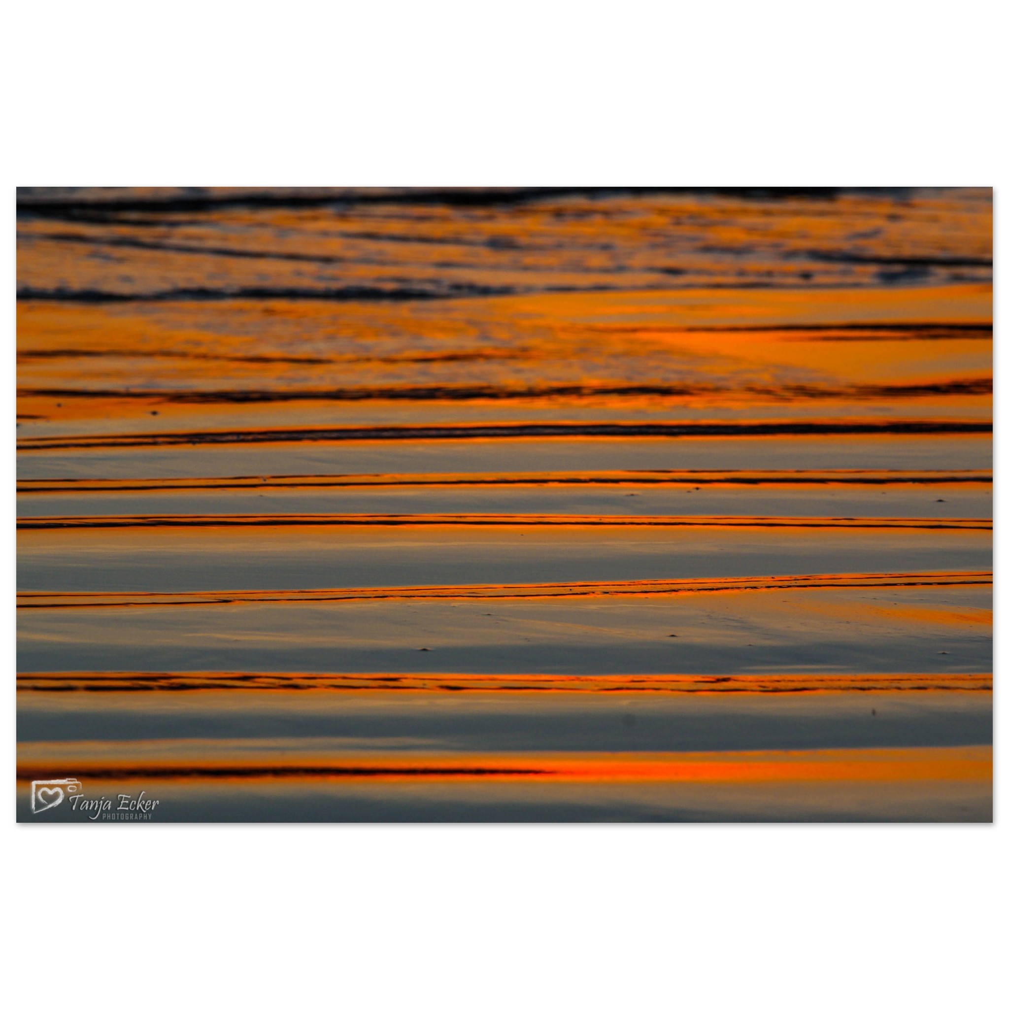 c9da0fa2-5220-496b-b9d0-721cb5c3c5c4