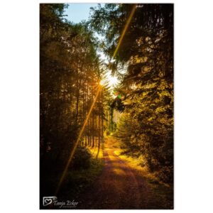 e861b2c1-f963-4de6-a397-7480c8e182ad