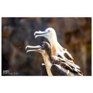 f5324a3e-e27c-4d90-b4ff-29c93d039fba