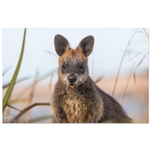 f548a376-3c0b-4b3b-ae9e-8d56e33e7d5c