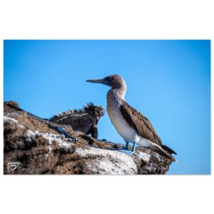 f74d8273-a17f-4b4c-91fb-40077c613b2c