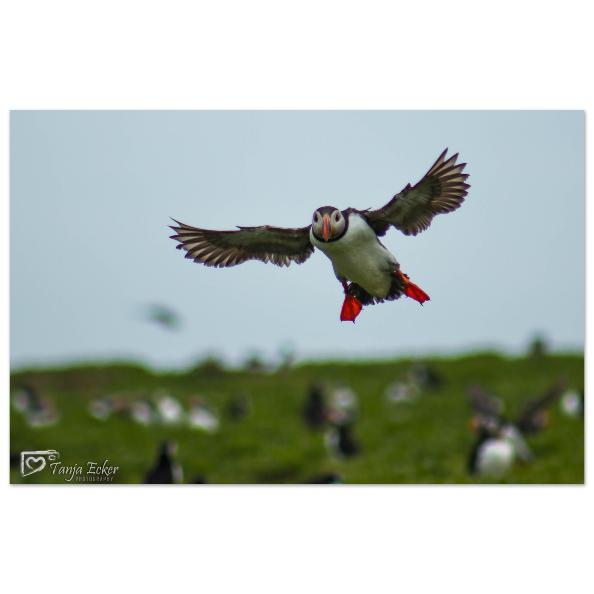 f8d8eae2-a401-47f3-b961-5742b6f2aebb