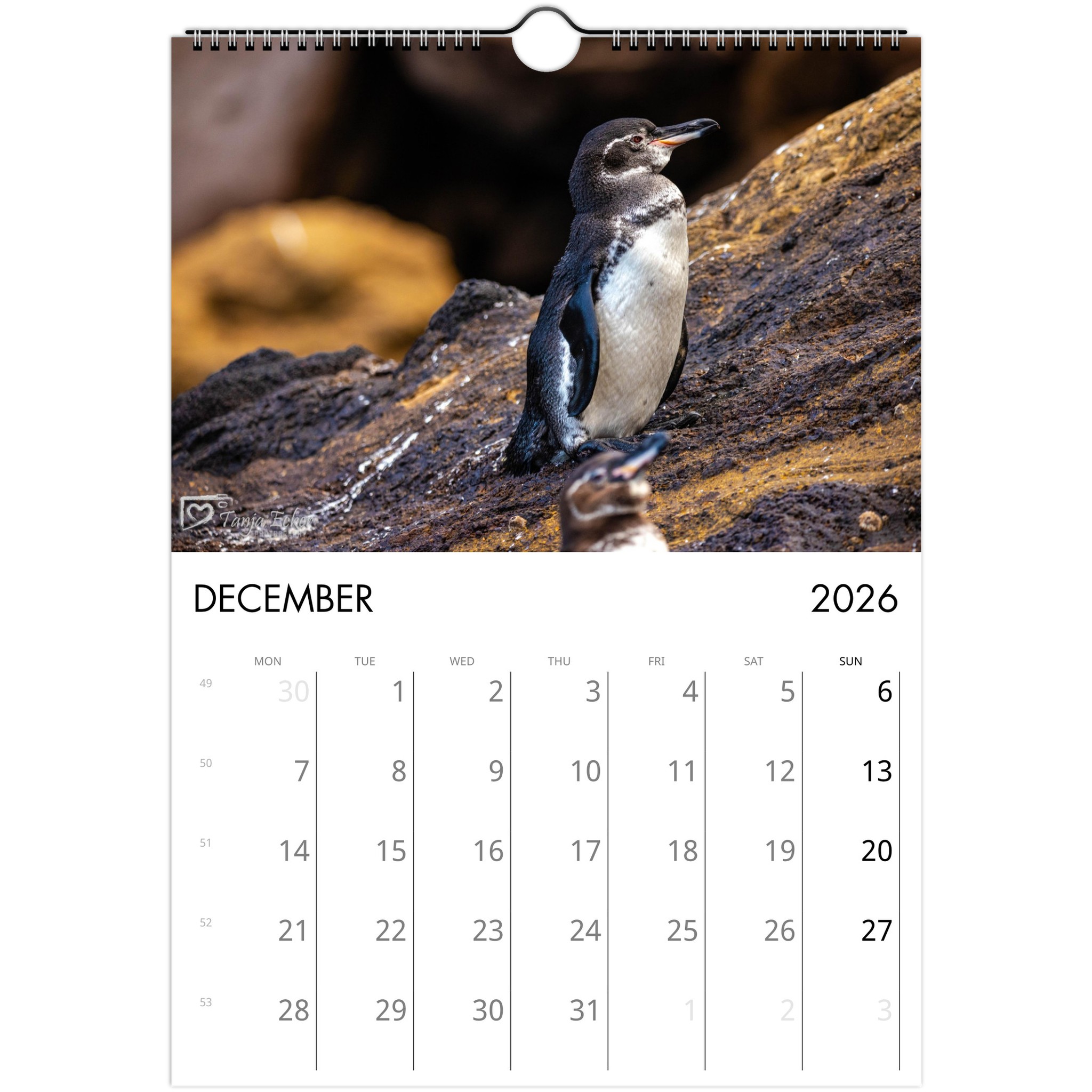 06819685-eb4b-46bc-a30a-d6a8a4034a18