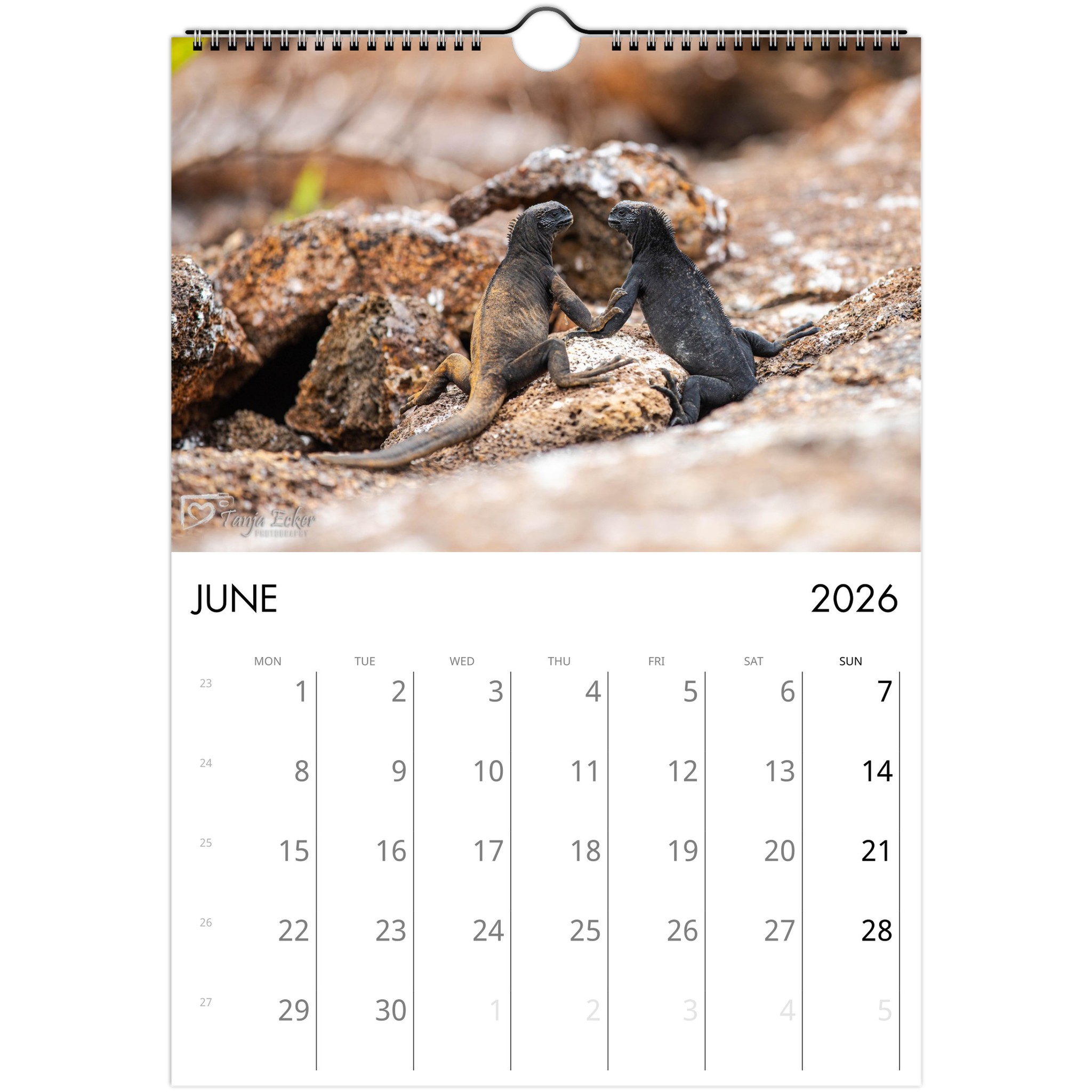 0d99b31d-b35f-41ad-842a-65d6cd7996ac