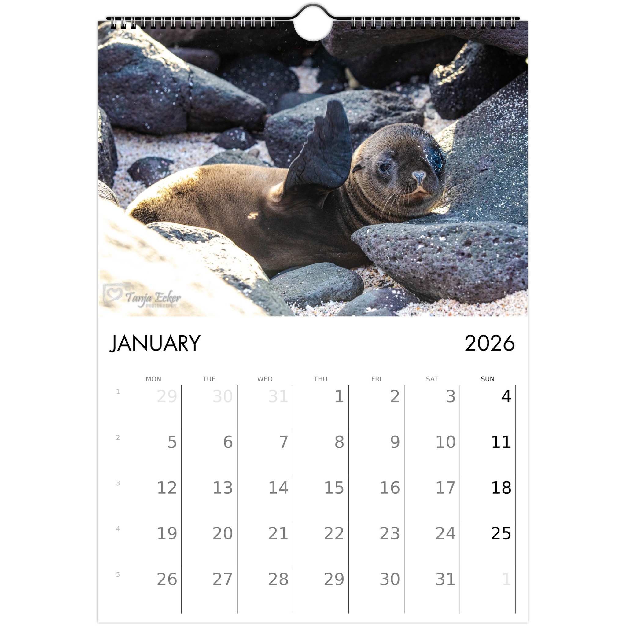 144576b1-5ee7-4335-9fab-4b91d8783a41