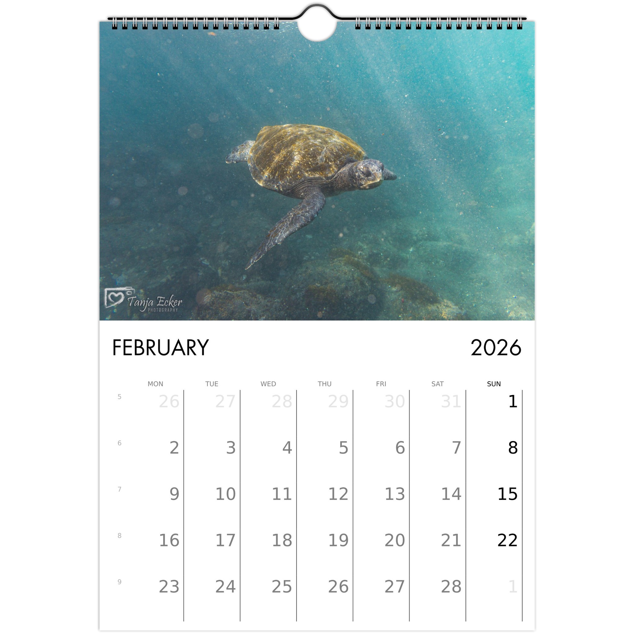 214fdf66-179e-46eb-a162-081ed916fe9e