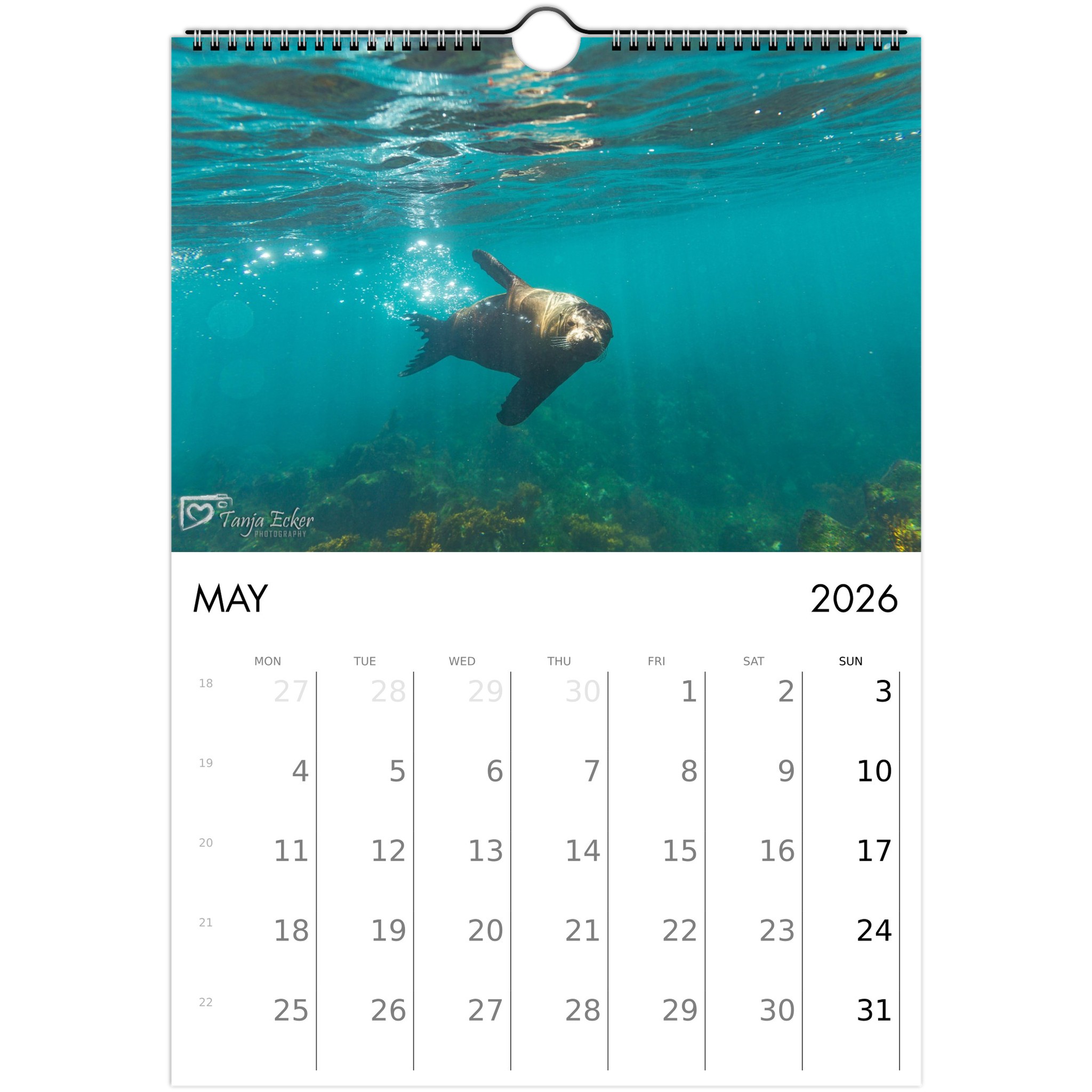 48e37671-36fd-4c02-82a5-69a90017c860