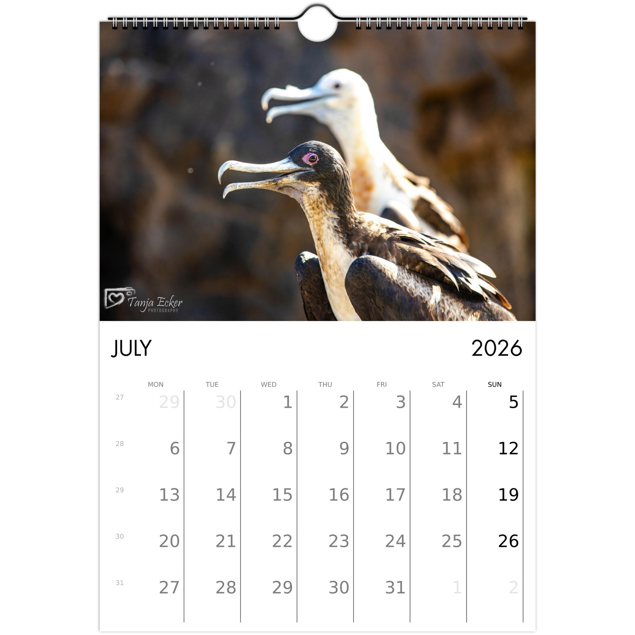 4ddbba50-531e-48ae-8105-70ca64b32678