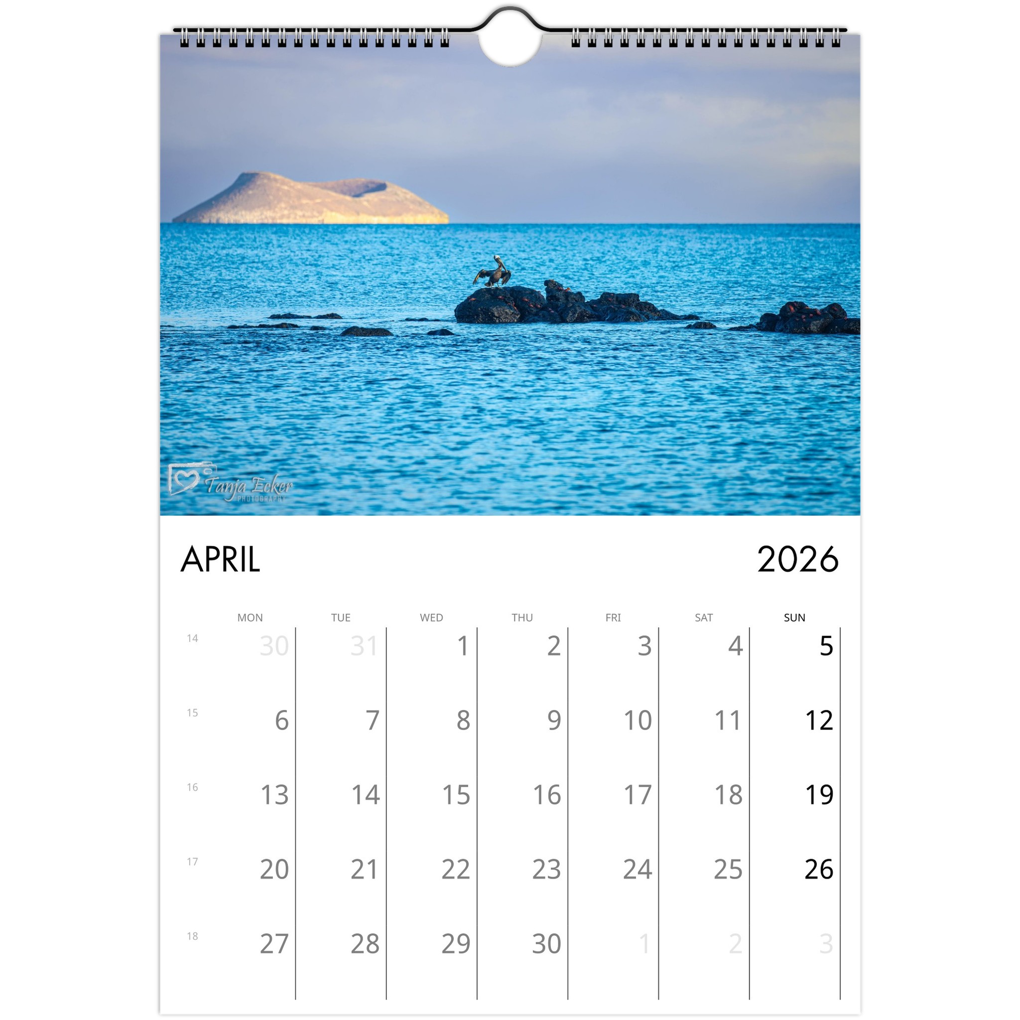 87cc9bbc-a816-4856-9119-4f70eeb235f9