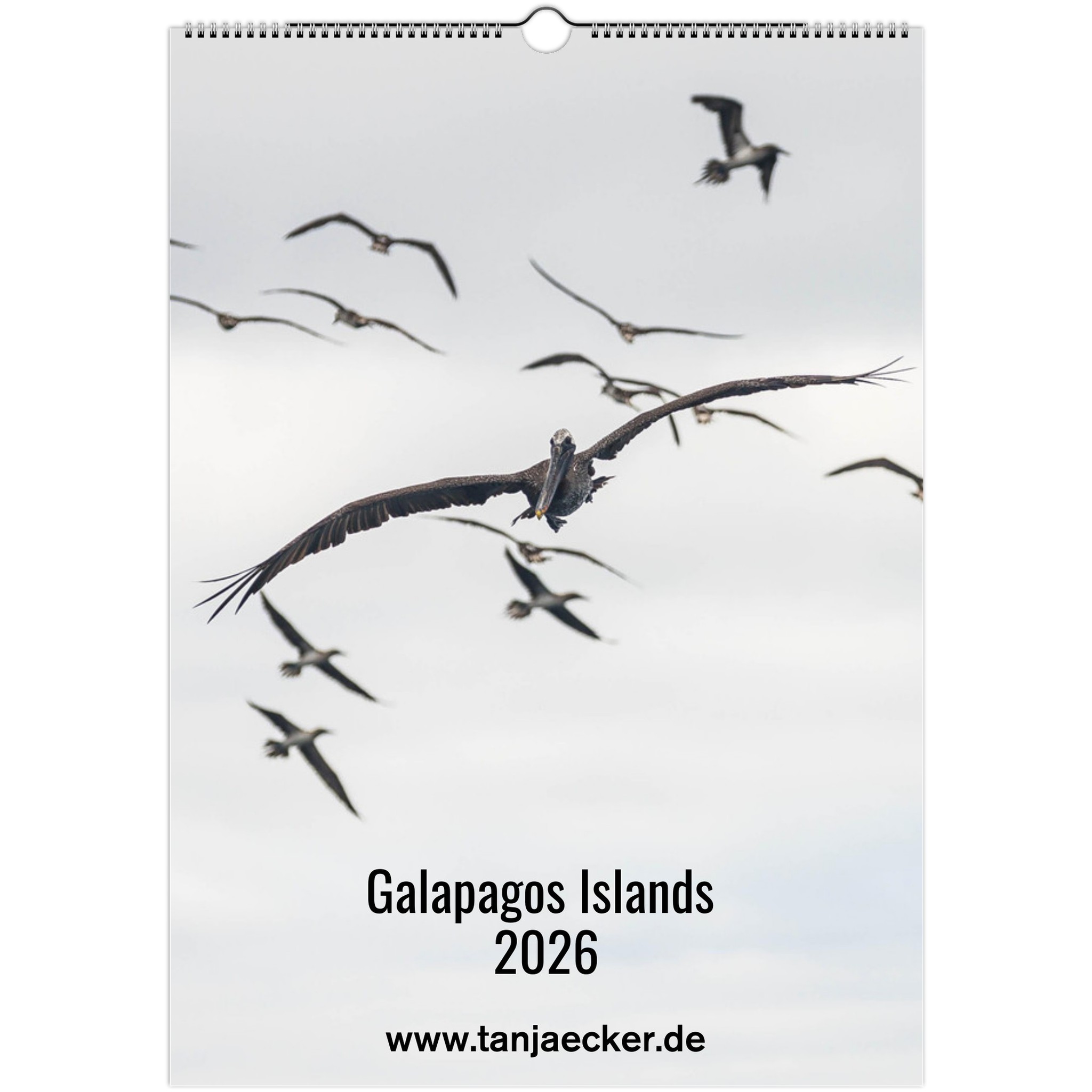 bc05f87a-f41f-41b1-b444-93d1cb05b3b3