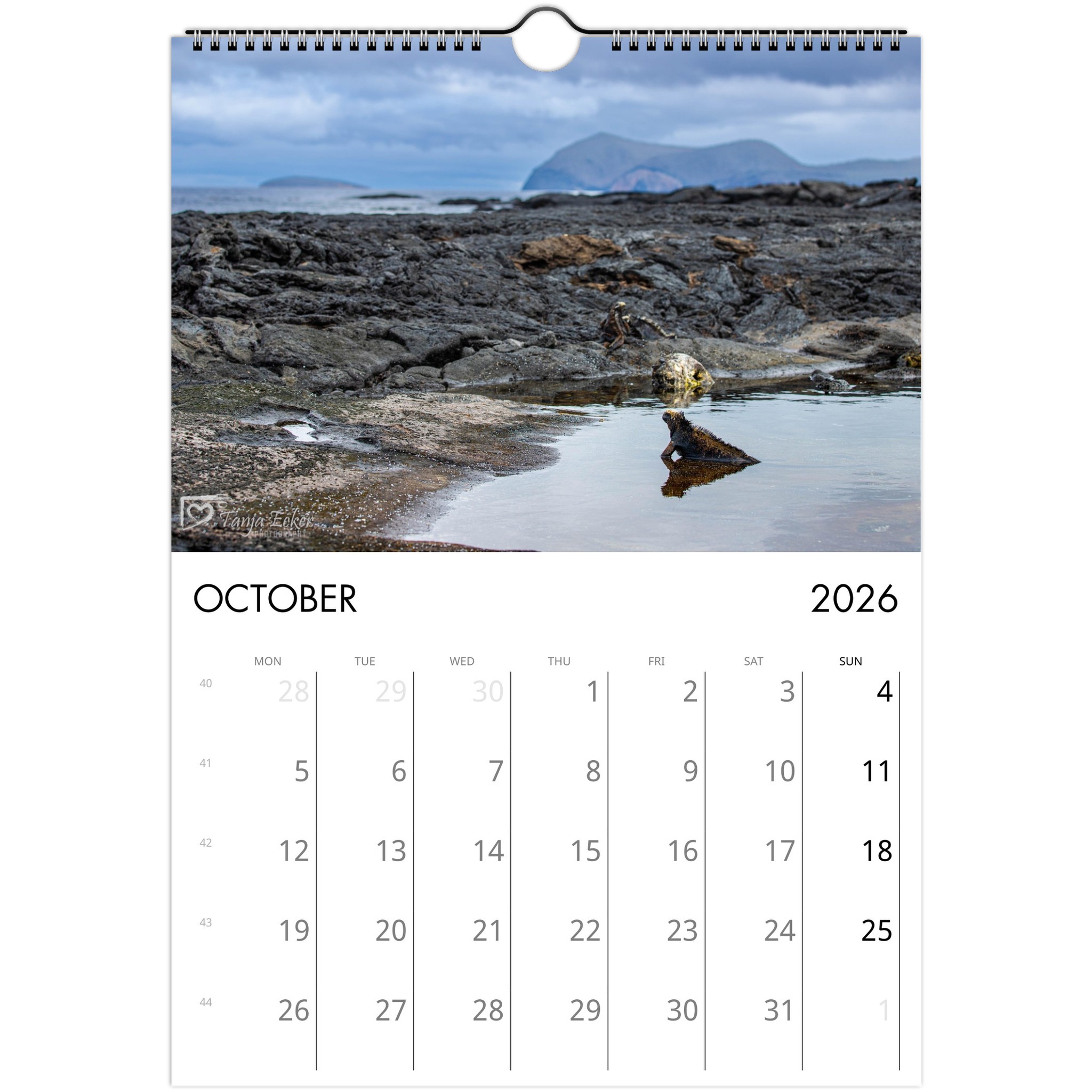 c810aee1-7ca4-4580-938c-23211ca64eb9