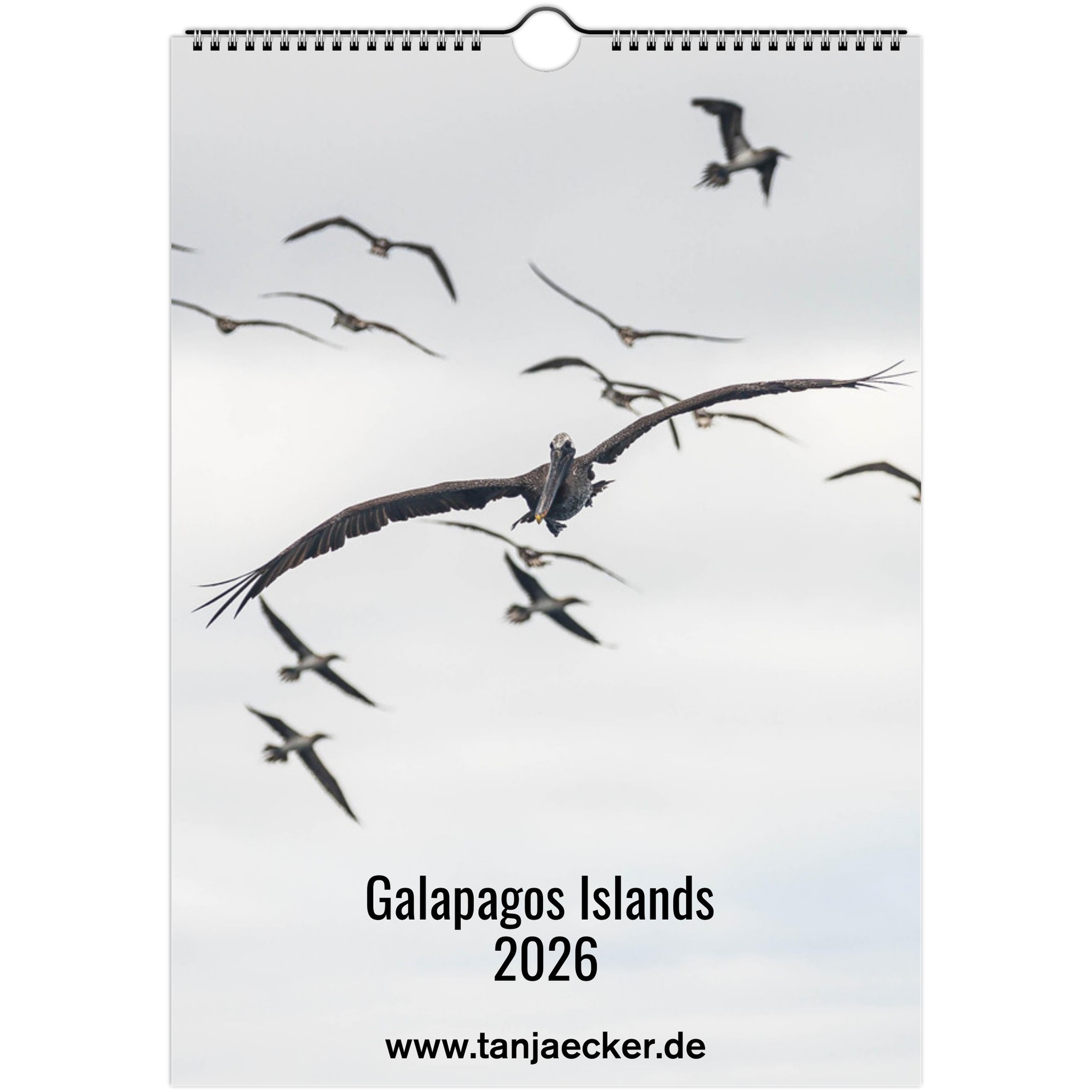 c95ed62e-4647-4f1f-9aa5-39be2ee7857d