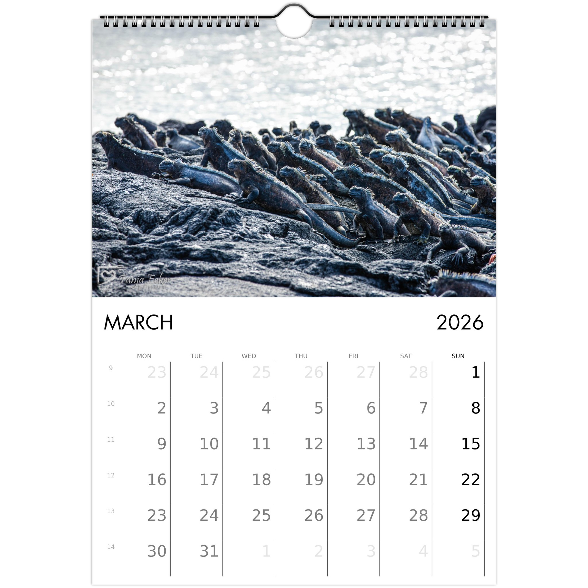 fb73806a-4f30-402b-8846-83662b3ea838